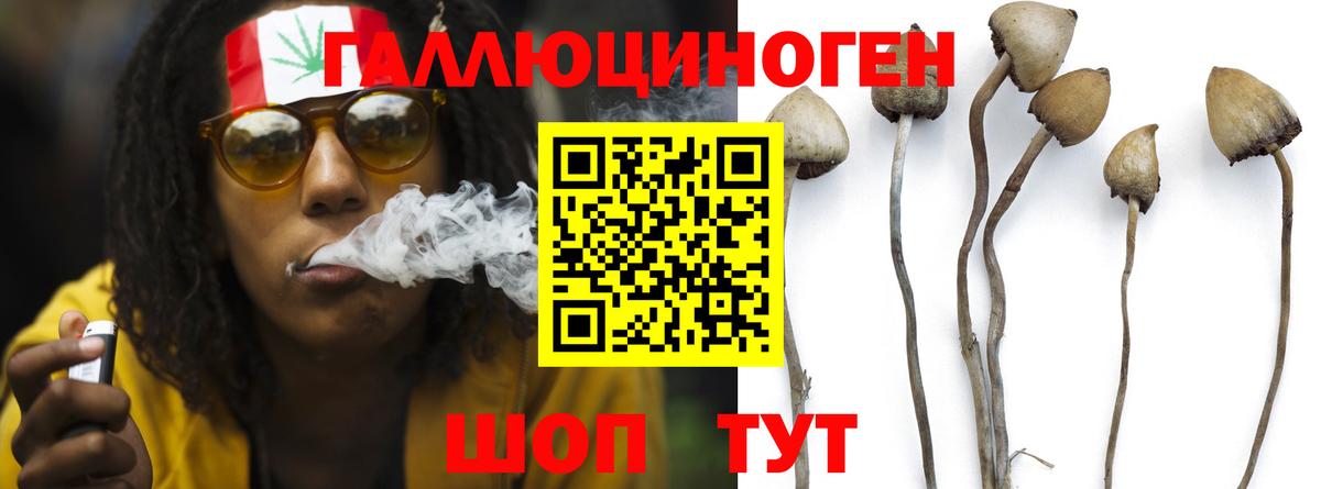 Галлюциногенные грибы Cubensis Каменка